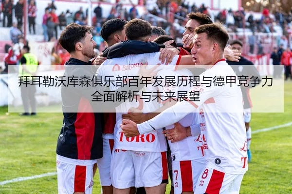 bai-er-lei-wo-ku-sen-ju-le-bu-bai-nian-fa-zhan-li-cheng-yu-de-jia-jing-zheng-li-quan-mian-jie-xi-yu-wei-lai-zhan-wang-2-573.jpg