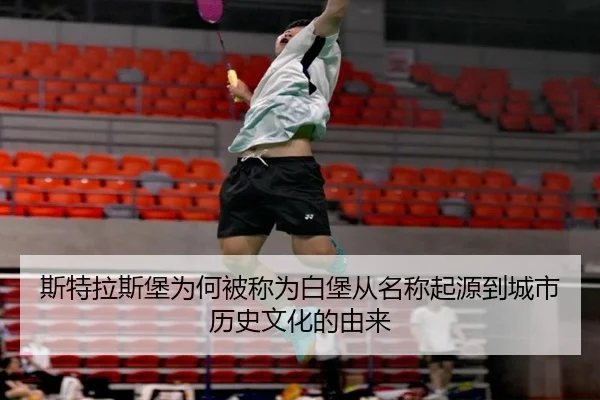si-te-la-si-bao-wei-he-bei-cheng-wei-bai-bao-cong-ming-cheng-qi-yuan-dao-cheng-shi-li-shi-wen-hua-de-you-lai-2-917.jpg